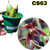 CATASETUM CERNUUM ADULTA COM AVARIAS - comprar online