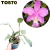 CATTLEYA DOLOSA ITAPETI ADULTA COM AVARIAS - comprar online