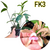 CATTLEYA FORBESII X GUTTATA ADULTA - comprar online