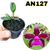 MUDA PEQUENA CATTLEYA LEOPOLDII DARK PRINCESS COM AVARIAS - comprar online