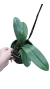 PHALAENOPSIS ADULTA COM AVARIAS - COD DV30 - MAIS ORQUIDEAS