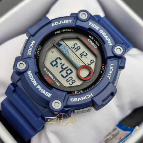 RELOJ CASIO WS-1300H-2AVDF ORIGINAL
