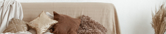 Banner de la categoría Futones y Living