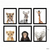 Quadros tema safari realista | K632 - comprar online