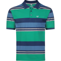 CAMISA POLO MALHA LISTRADA C/B IMP P/GG - VMGP0325 - comprar online