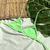 TOP TRIANGLE MENTA - Atol