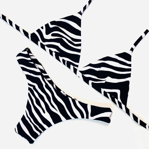 TRIANGLE + ASA DELTA ZEBRA