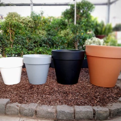 Común Rotomoldeada en internet