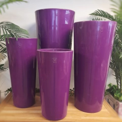 Cónica Génesis Pulida - Violeta - Vivero Mario