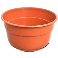 Bols con Plato - Vivero Mario