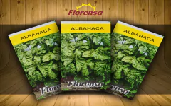 Semillas Aromáticas - comprar online