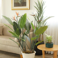 Strelitzia enana (Artificial) PR0001-C