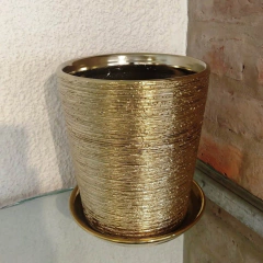 Cónica Rústica con Plato en internet