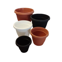 Denise - comprar online