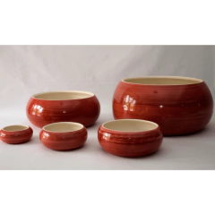 Loto Sobretierra - comprar online