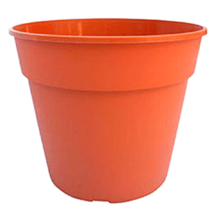 Imagen de Común (Plástico)