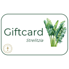 Gift Card en internet