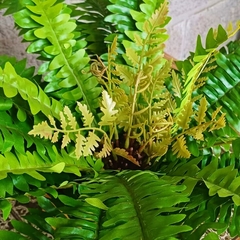 Imagen de Helecho Nephrolepis Artificial