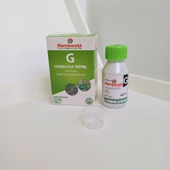 Mamboretá G - comprar online