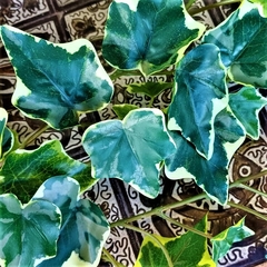 Hiedra colgante variegada (Artificial) - tienda online