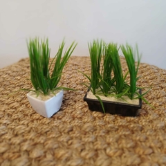 Jardin con pasto (Artificial)