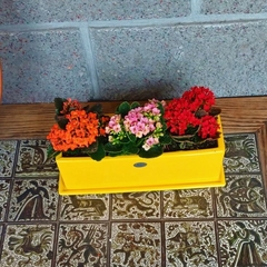 Jardinera Con Plato - tienda online