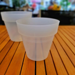 Josephine Transparente (Orquideas) - comprar online