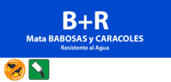 Mamboretá B+R en internet