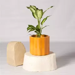 Decoplants Saphi en internet