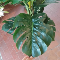 Monstera (Artificial) en internet