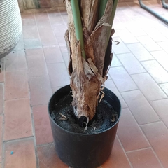 Monstera (Artificial) - Vivero Mario