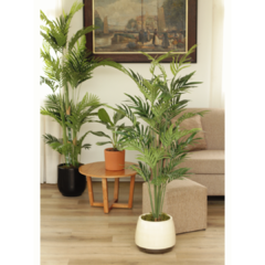 Palmera Paradise (Artificial) en internet