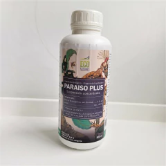 Paraiso plus (Eco mambo) - comprar online