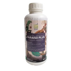 Paraiso plus (Eco mambo)