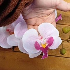 Orquídea Phalaenopsis (Artificial) en internet
