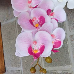 Orquídea Phalaenopsis (Artificial)