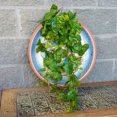 Pothus Colgante (Artificial) en internet