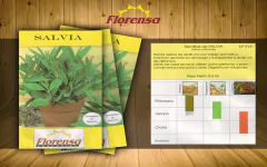 Semillas Aromáticas