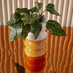 Maceta Scala (Roma) - tienda online