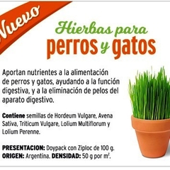 Semillas de Hierbas para Gatos y Perros - comprar online