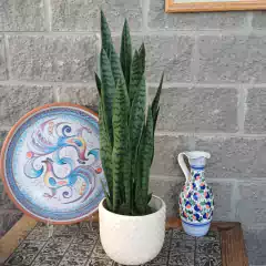 Sansevieria Verde (Artificial) - comprar online