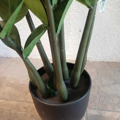 Zamioculca (artificial) - Vivero Mario