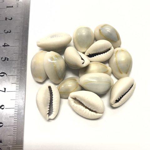 Búzios