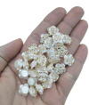 Flor de Pérola com Borda Dourada Pequena (10 Gramas) - comprar online