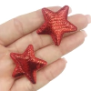 Aplique Estrela Cintilante Trabalhada Vermelho (2unds)