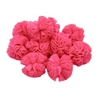 pompom tule rosa neon