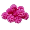 Pompom de malha tule rosa chiclete com 25 mm, em um conjunto de 10 unidades.