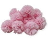 Conjunto de pompons de malha tule rosa bebê, com 10 unidades, ideal para apliques e decoração.