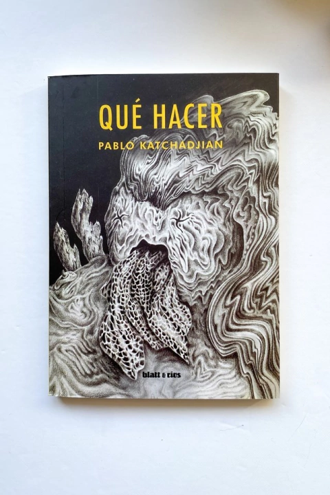 Qué hacer | Pablo Katchadjian