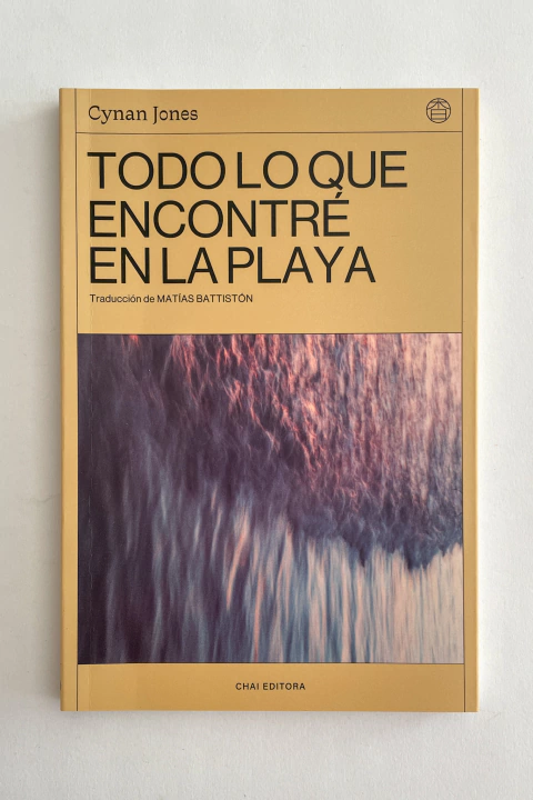 Todo lo que encontré en la playa | Cynan Jones